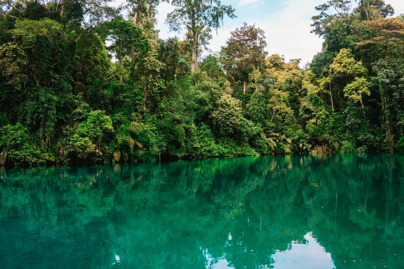 Imagem JPG, Indisponivel